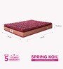 Spring Koil Reversible 8 inch Bonnell Spring Queen Size Mattress in Dark Maroon Colour (With 2 Free Pillows)