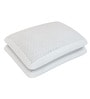 Bare Latex 24 x 16 Inch Pillows (Set of 2)
