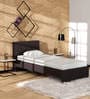 Spruce Single Bed In Brown Finish