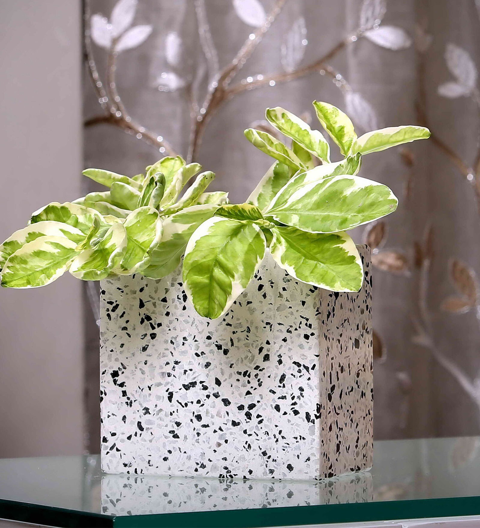 Black And White Square Terrazzo Planter