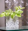 Black And White Square Terrazzo Planter