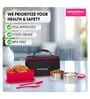 Varmora SS Duo Stainless Steel Lunch Box with 3 Airtight & Leak Proof Containers (240 ml-2 pc and Oval container-550 ml-1 pc)