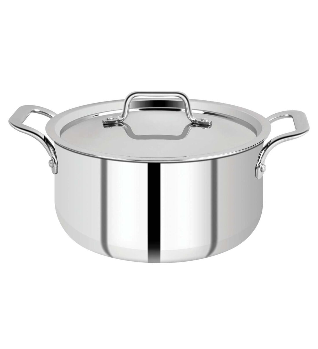 Buy Stainless Steel Induction Friendly 5.2 Ltrs Pot with Lid by Bergner