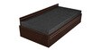 Starvion Pull-Out Sofa Cum Bed with Storage in brown Colour