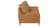 Steven 2 Seater Sofa in Brown Colour