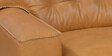 Steven 2 Seater Sofa in Brown Colour