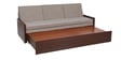 Stylish 3 Seater Sofa cum Bed with Storage & Mattress in Brown Finish