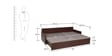 Stylish 3 Seater Sofa cum Bed with Storage & Mattress in Brown Finish