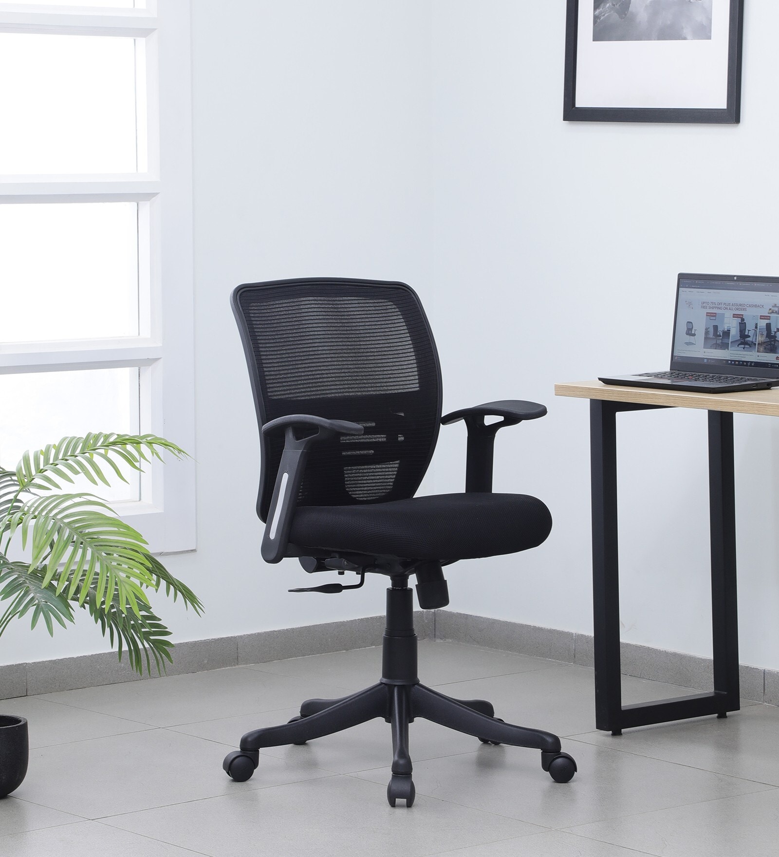 Buy Star Low Back Ergonomic Chair in Black Colour at 45 OFF by Athena