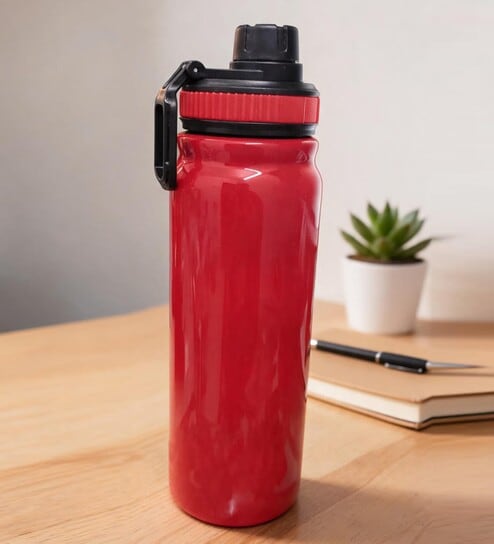 Red Stainless Steel Shine Water Bottle with Flip Top Lid & Carry Loop, 750 ml