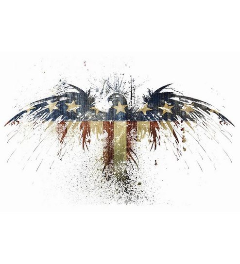 Buy Stybuzz Rebel Flag Art Poster Online Hollywood Posters