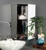 Stainless Steel Chrome Finish Bathroom Cabinet