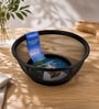 Stainless Steel Colander Basket with Rim (Black)
