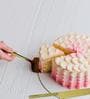 Stainless Steel Dessert Cake Knife Set of 2