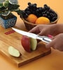 Stainless Steel Laser Knife for Kitchen, Sharp Serrated Cutting Blade, Comfortable Handle | Ideal for Chopping, Slicing, and Everyday Cooking