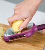 Stainless Steel Peeler and Masher