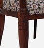 Stalley Sheesham Wood Arm Chair In Multicolor & Scratch Resistant Honey Oak Finish
