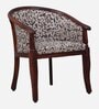 Stalley Sheesham Wood Arm Chair In Multicolor & Scratch Resistant Honey Oak Finish