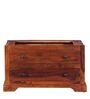 Stanfield Sheesham Wood 2 Door Wardrobe In Honey Oak Finish