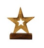 Star Aluminium Showpiece With Wooden Base