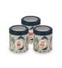 STC 750Ml Green Plastic (Set of 3) Airtight Container