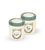 STC 750Ml Grey Plastic (Set of 2) Airtight Container