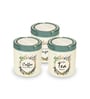 STC 750Ml Grey Plastic (Set of 3) Airtight Container