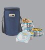 Stainless Steel & Plastic 300Ml Tiffin Bag