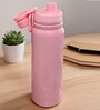 Pink Stainless Steel Shine Water Bottle with Flip Top Lid & Carry Loop, 750 ml
