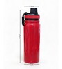 Red Stainless Steel Shine Water Bottle with Flip Top Lid & Carry Loop, 750 ml