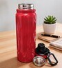 Red Stainless Steel Shine Water Bottle with Flip Top Lid & Carry Loop, 750 ml