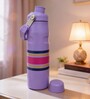 Purple Stainless Steel Strip Line Water Bottle, 750 ml