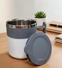 Steel Travel Coffee Mug Set of 2