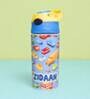 Steel Water bottle