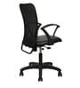 Stella Ergonomic Chair in Black Colour