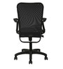 Stella Ergonomic Chair in Black Colour