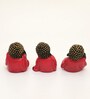 Stella Monk Set of 3 in Red Color