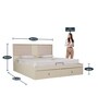 Stellar Queen Size Bed with Storage in High Gloss White Finish