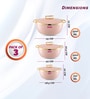 Stellar  Pink Plastic & Steel 3Pcs Insulated Thermoware Casserole