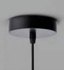 Stello Contemporary Smoke Glass Pendant Light