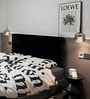 Stello Contemporary Smoke Glass Pendant Light