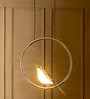 Stello Golden Bird Ring Pendant Light