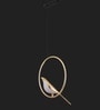Stello Golden Bird Ring Pendant Light
