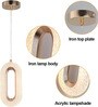 Stello Halo Pendant Light   Textured Oval Loop in Gold Finish