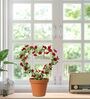 Stem Stalks Vines Set of 2 BlackMetal Plant Stand