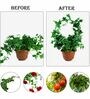 Stem Stalks Vines Set of 4 BlackMetal Plant Stand