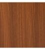 Stepora Shoe Rack In Walnut Finish Stepora Shoe Rack In Walnut Finish