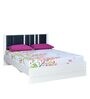 Sterling King Size Upholstered Bed in White Colour