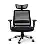 Sthira High Back Ergonomic Chair with Adjustable Lumbar Support And Adjustable Headrest in Black Colour
