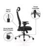 Sthira Office Chair with Seat Slider & Adjustable Lumbar Support in Black colour
